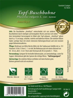 QUEDLINBURGER Buschbohnensamen „Amethyst“ 7 QUEDLINBURGER Buschbohnensamen „Amethyst“ -Blumen Risse Verkaufsladen 291106 4014352911064 RS 800x800