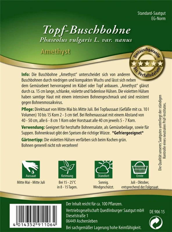 QUEDLINBURGER Buschbohnensamen „Amethyst“ 4 QUEDLINBURGER Buschbohnensamen „Amethyst“ – Bild 2