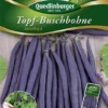 QUEDLINBURGER Buschbohnensamen „Amethyst“