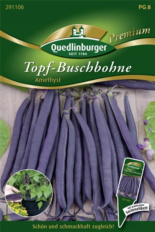 QUEDLINBURGER Buschbohnensamen „Amethyst“ 3 QUEDLINBURGER Buschbohnensamen „Amethyst“