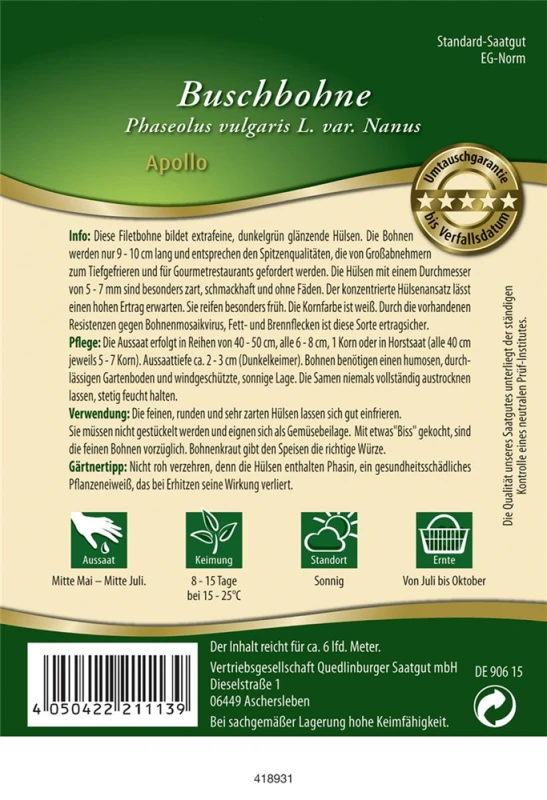 QUEDLINBURGER Buschbohnensamen „Apollo“ 4 QUEDLINBURGER Buschbohnensamen „Apollo“ – Bild 2