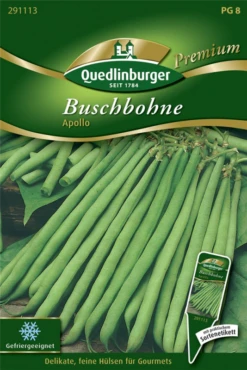 QUEDLINBURGER Buschbohnensamen „Apollo“