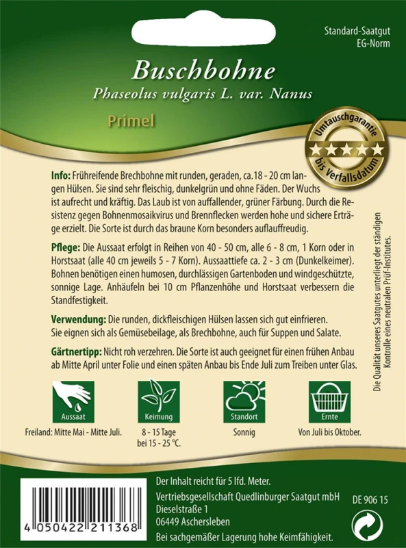 QUEDLINBURGER Buschbohnensamen „Primel“ 4 QUEDLINBURGER Buschbohnensamen „Primel“ – Bild 2
