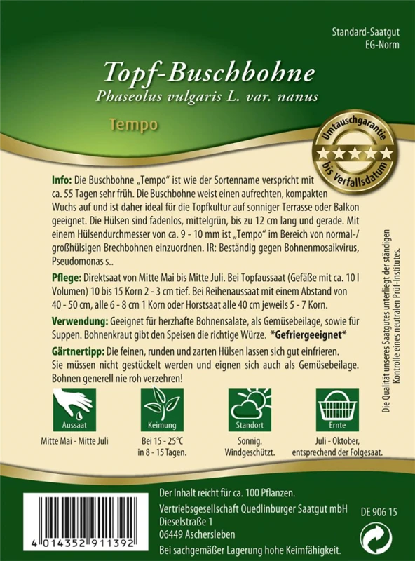QUEDLINBURGER Buschbohnensamen „Tempo“ 4 QUEDLINBURGER Buschbohnensamen „Tempo“ – Bild 2