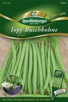 QUEDLINBURGER Buschbohnensamen „Tempo“ 5 QUEDLINBURGER Buschbohnensamen „Tempo“ – Bild 3