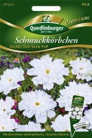 QUEDLINBURGER Schmuckkörbchensamen „Double Click Snow Puff“ 5 QUEDLINBURGER Schmuckkörbchensamen „Double Click Snow Puff“ – Bild 3