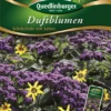 QUEDLINBURGER Duftblumensamen „Schokolade Mit Sahn“ 2 QUEDLINBURGER Duftblumensamen „Schokolade Mit Sahn“ -Blumen Risse Verkaufsladen 291639 4050422216394 VS20Duftblumen20Schokolade20mit20Sahne 800x800
