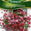 QUEDLINBURGER Hängegeraniensamen