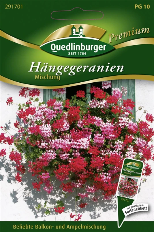 QUEDLINBURGER Hängegeraniensamen 3 QUEDLINBURGER Hängegeraniensamen