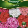 QUEDLINBURGER Zonal-Pelargonie-Samen 2 QUEDLINBURGER Zonal-Pelargonie-Samen -Blumen Risse Verkaufsladen 291703 4050422217032 VS20Geranien20stehende20Mischung 800x800