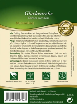 QUEDLINBURGER Glockenrebensamen „Glockenklang“ 7 QUEDLINBURGER Glockenrebensamen „Glockenklang“ -Blumen Risse Verkaufsladen 291714 4050422217148 RS20Glockenrebe20Glockenklang 800x800