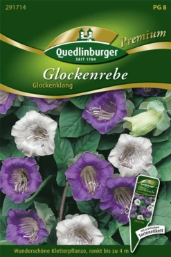 QUEDLINBURGER Glockenrebensamen „Glockenklang“