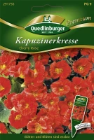 QUEDLINBURGER Kapuzinerkressesamen „Jewel Cherry Rose“ 5 QUEDLINBURGER Kapuzinerkressesamen „Jewel Cherry Rose“ – Bild 3