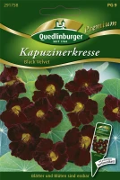 QUEDLINBURGER Kapuzinerkressesamen „Black Velvet“ 5 QUEDLINBURGER Kapuzinerkressesamen „Black Velvet“ – Bild 3