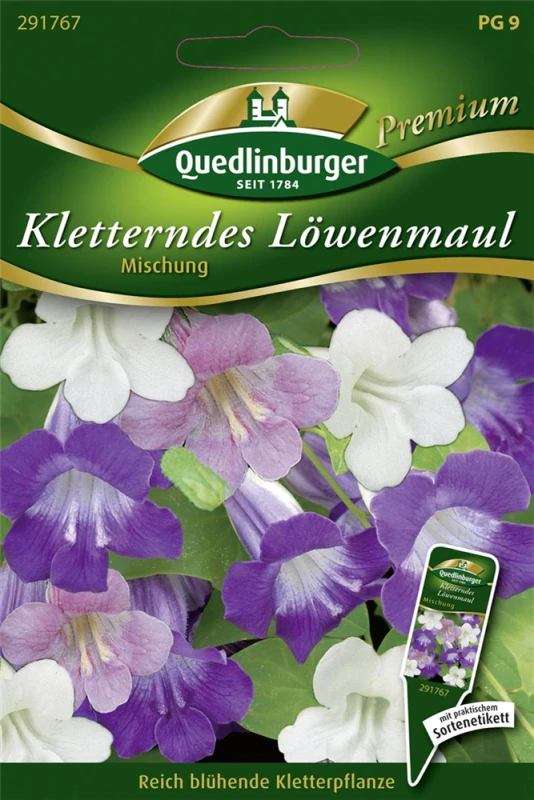 QUEDLINBURGER Felsenlöwenmäulchensamen 3 QUEDLINBURGER Felsenlöwenmäulchensamen