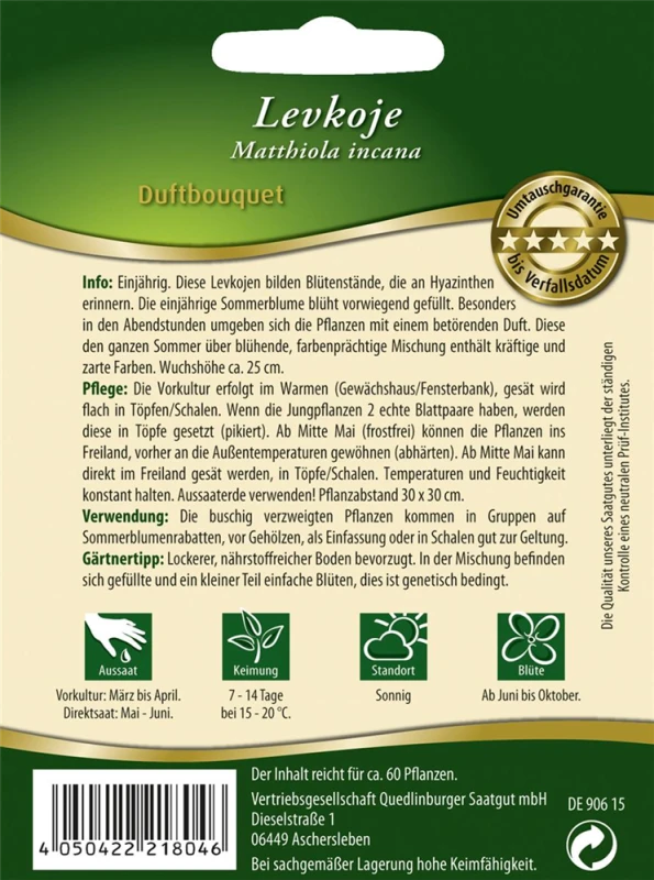 QUEDLINBURGER Garten-Levkoje-Samen „Duftbouquet“ 4 QUEDLINBURGER Garten-Levkoje-Samen „Duftbouquet“ – Bild 2