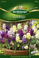 QUEDLINBURGER Garten-Levkoje-Samen „Duftbouquet“ 5 QUEDLINBURGER Garten-Levkoje-Samen „Duftbouquet“ – Bild 3