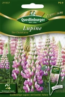 QUEDLINBURGER Garten-Lupine-Samen „The Chatelaine“ 5 QUEDLINBURGER Garten-Lupine-Samen „The Chatelaine“ – Bild 3