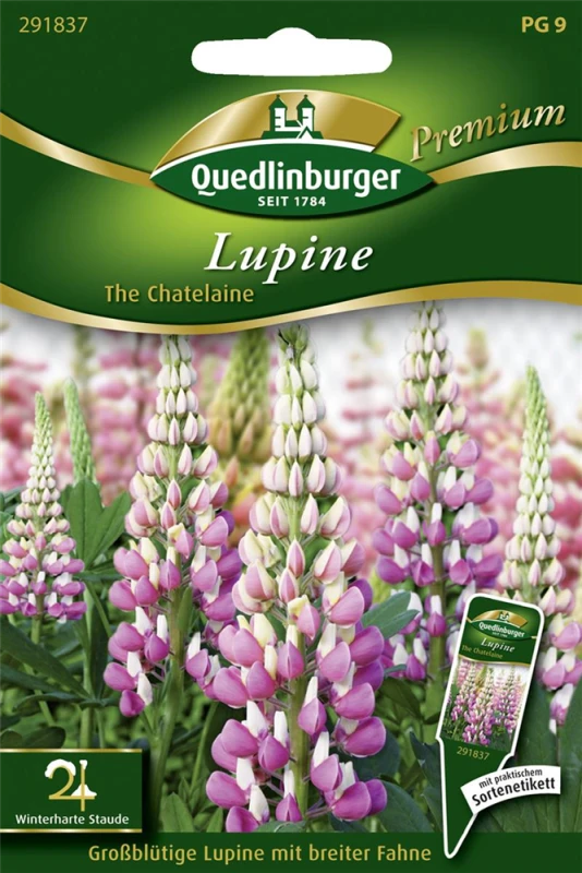 QUEDLINBURGER Garten-Lupine-Samen „The Chatelaine“ 3 QUEDLINBURGER Garten-Lupine-Samen „The Chatelaine“