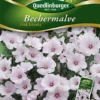 QUEDLINBURGER Bechermalvensamen „Pink Beauty“ 1 QUEDLINBURGER Bechermalvensamen „Pink Beauty“ -Blumen Risse Verkaufsladen 291853 4050422218534 VS20Malven20Becher 20Pink20Beauty 800x800