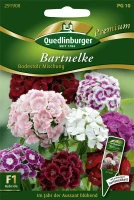 QUEDLINBURGER Bartnelkensamen „Bodestolz“ 5 QUEDLINBURGER Bartnelkensamen „Bodestolz“ – Bild 3