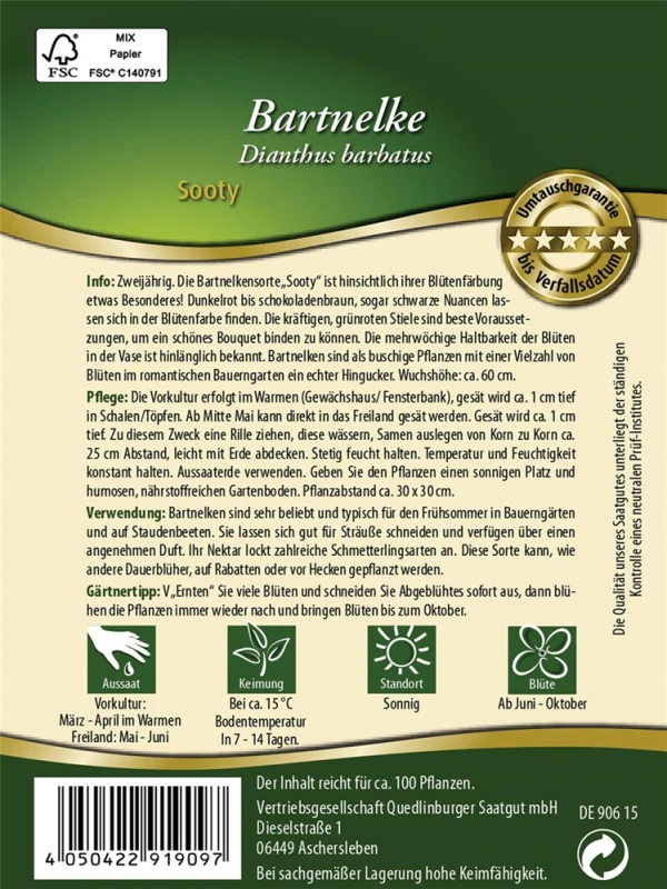 QUEDLINBURGER Bartnelkensamen „Sooty“ 4 QUEDLINBURGER Bartnelkensamen „Sooty“ – Bild 2