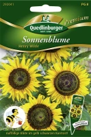 QUEDLINBURGER Sonnenblumensamen „Henry Wilde“ 5 QUEDLINBURGER Sonnenblumensamen „Henry Wilde“ – Bild 3