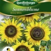 QUEDLINBURGER Sonnenblumensamen „Henry Wilde“ 1 QUEDLINBURGER Sonnenblumensamen „Henry Wilde“ -Blumen Risse Verkaufsladen 292041 4050422220414 VS20Sonnenblumen20Henry20Wilde 800x800