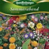 QUEDLINBURGER Sommerabend Mischung-Samen