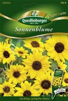 QUEDLINBURGER Sonnenblumensamen „Piccolo“ 5 QUEDLINBURGER Sonnenblumensamen „Piccolo“ – Bild 3