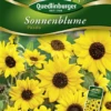 QUEDLINBURGER Sonnenblumensamen „Piccolo“ 1 QUEDLINBURGER Sonnenblumensamen „Piccolo“ -Blumen Risse Verkaufsladen 292054 4050422220544 VS20Sonnenblumen20Piccolo 800x800