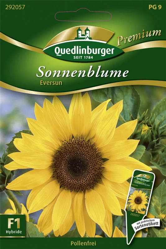 QUEDLINBURGER Sonnenblumennsamen „Eversun“ 3 QUEDLINBURGER Sonnenblumennsamen „Eversun“