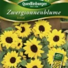 QUEDLINBURGER Sonnenblumensamen „Ballad“ 1 QUEDLINBURGER Sonnenblumensamen „Ballad“ -Blumen Risse Verkaufsladen 292062 4050422220629 VS20Sonnenblumen20Zwerg20Ballad Pollenfrei 800x800