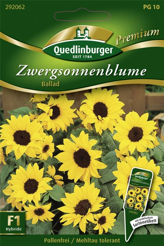 QUEDLINBURGER Sonnenblumensamen „Ballad“ 3 QUEDLINBURGER Sonnenblumensamen „Ballad“