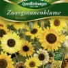QUEDLINBURGER Sonnenblumensamen „Ministars“ -Blumen Risse Verkaufsladen 292067 4050422220674 VS20Sonnenblumen20Zwerg20Ministars 800x800