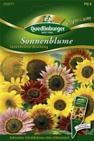 QUEDLINBURGER Sonnenblumensamen „Summertime Mix“ 5 QUEDLINBURGER Sonnenblumensamen „Summertime Mix“ – Bild 3