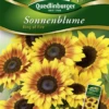 QUEDLINBURGER Sonnenblumensamen „Ring Of Fire“ 1 QUEDLINBURGER Sonnenblumensamen „Ring Of Fire“ -Blumen Risse Verkaufsladen 292077 4050422220773 VS20Sonnenblumen20Ring20of20fire 800x800