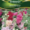 QUEDLINBURGER Stockrosensamen „Majorette“