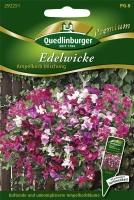 QUEDLINBURGER Gartenwickensamen „Ampelkorb Mischung“ 5 QUEDLINBURGER Gartenwickensamen „Ampelkorb Mischung“ – Bild 3