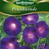 QUEDLINBURGER Trichterwindensamen „Grandpa Ott“ 2 QUEDLINBURGER Trichterwindensamen „Grandpa Ott“ -Blumen Risse Verkaufsladen 292279 4050422222791 VS20Winde20Prunk 20Grandpa20Ott 800x800