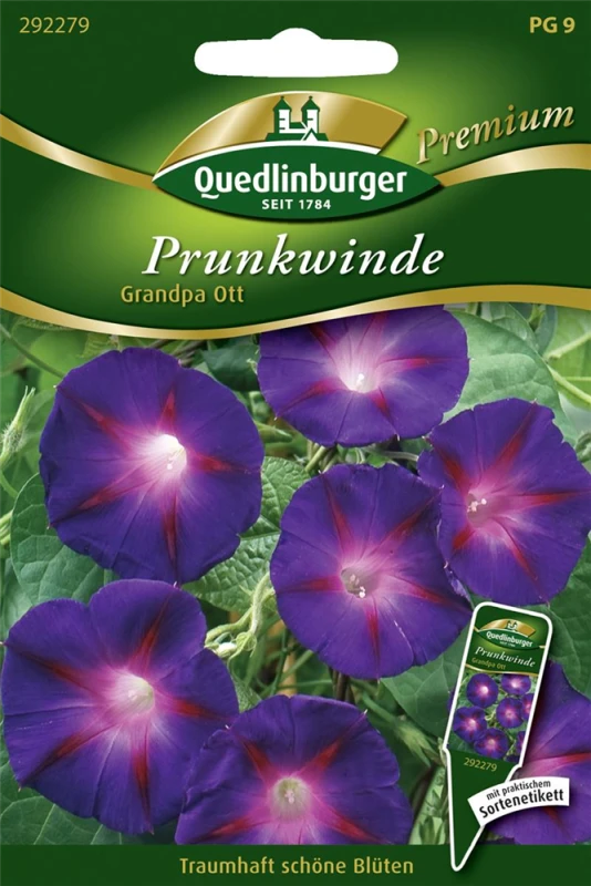 QUEDLINBURGER Trichterwindensamen „Grandpa Ott“ 3 QUEDLINBURGER Trichterwindensamen „Grandpa Ott“