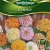 QUEDLINBURGER Zinniensamen „Peppermint Stick“ Mix 2 QUEDLINBURGER Zinniensamen „Peppermint Stick“ Mix -Blumen Risse Verkaufsladen 292307 4050422223071 VS20Zinnien20Pepermint20Sticks 800x800