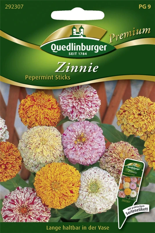 QUEDLINBURGER Zinniensamen „Peppermint Stick“ Mix 3 QUEDLINBURGER Zinniensamen „Peppermint Stick“ Mix