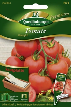 QUEDLINBURGER Tomatensamen „Harzglut F1“ 7 QUEDLINBURGER Tomatensamen „Harzglut F1“ -Blumen Risse Verkaufsladen 292894 4050422228946 VS 800x800
