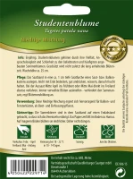 QUEDLINBURGER Studentenblumensamen „Niedrige Mischung“ 6 QUEDLINBURGER Studentenblumensamen „Niedrige Mischung“ – Bild 4