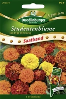 QUEDLINBURGER Studentenblumensamen „Niedrige Mischung“ 5 QUEDLINBURGER Studentenblumensamen „Niedrige Mischung“ – Bild 3