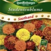 QUEDLINBURGER Studentenblumensamen „Niedrige Mischung“ 2 QUEDLINBURGER Studentenblumensamen „Niedrige Mischung“ -Blumen Risse Verkaufsladen 292971 4050422229714 VS20SB20Studentenblumen20niedrige20Mg 800x800