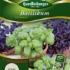 QUEDLINBURGER Garten-Basilikum-Samen „Genoveser“ 1 QUEDLINBURGER Garten-Basilikum-Samen „Genoveser“ -Blumen Risse Verkaufsladen 292979 4050422229790 VS 800x800