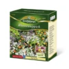 QUEDLINBURGER Blumenteppichsamen „Augenweide“ 2 QUEDLINBURGER Blumenteppichsamen „Augenweide“ -Blumen Risse Verkaufsladen 2971610 4014352716102 Blumenteppich 800x800