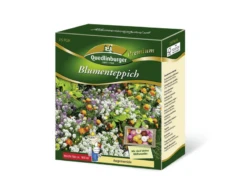 QUEDLINBURGER Blumenteppichsamen „Augenweide“